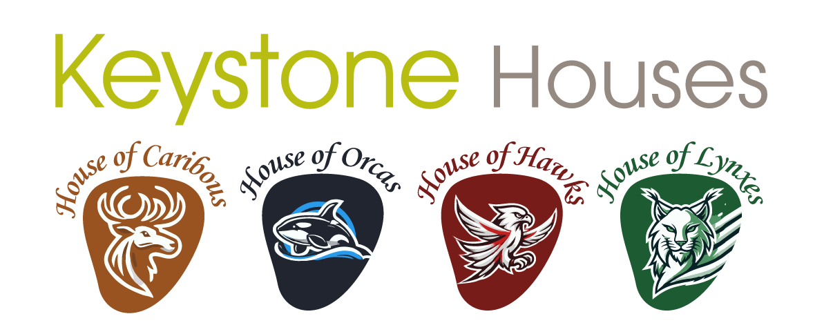 "KİLİTTAŞI & KEYSTONE HOUSES" SYSTEM